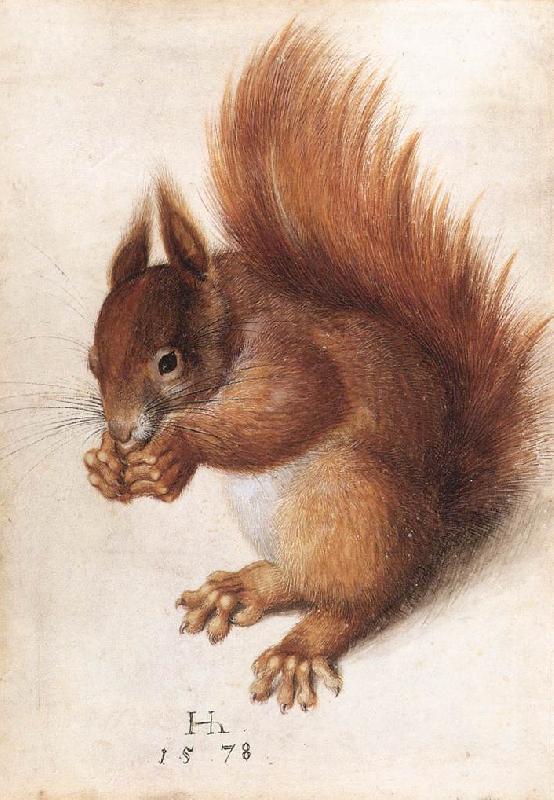HOFFMANN, Hans Squirrel wf oil painting image